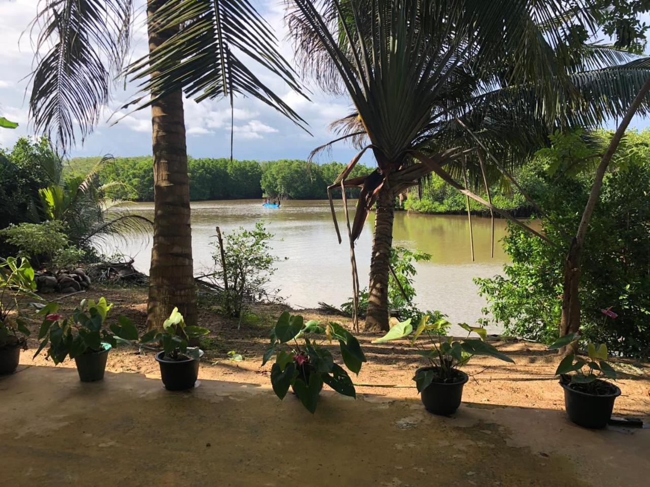 Opera Beach Inn Tangalle Chambre photo